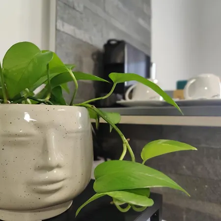 Urban Zen Apartament *