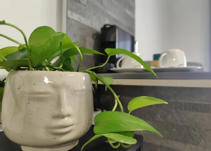 Urban Zen Appartamento *