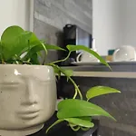 Urban Zen Apartmán *